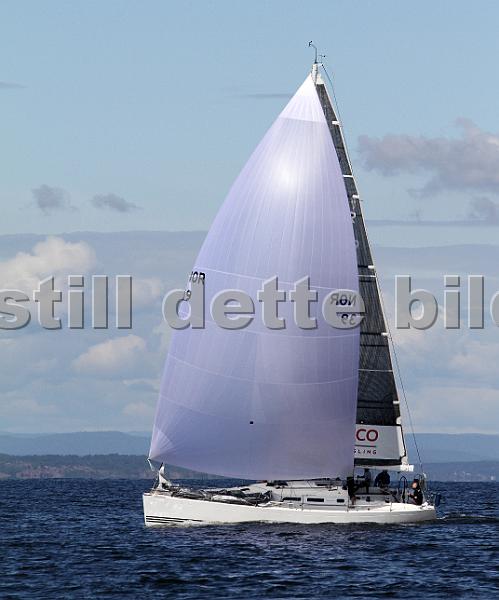 ORCi2 310.jpg